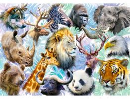 Puzzle Alipson Collage de Cabezas de Animales de 500 Piezas