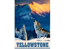 Puzzle Alipson Lobo de Yellowstone de 500 Piezas