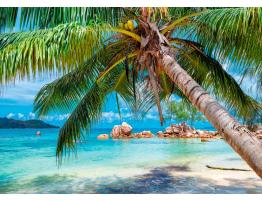 Puzzle Alipson Playa Tropical de 1000 Piezas