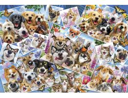 Puzzle Anatolian Collage de Selfies de Mascotas de 2000 Piezas