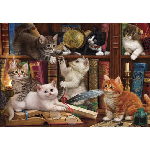 Puzzle Anatolian Gatitos en la Estantería de 500 Piezas