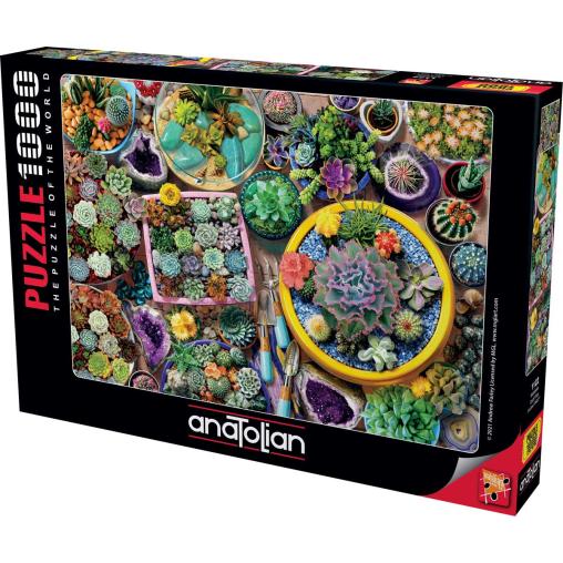 Puzzle Anatolian Macetas de Cactus de 1000 Piezas