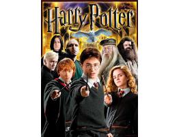 Puzzle Aquarius Collage Harry Potter de 1000 Piezas