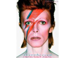 Puzzle Aquarius David Bowie Aladdin Sane de 500 Piezas