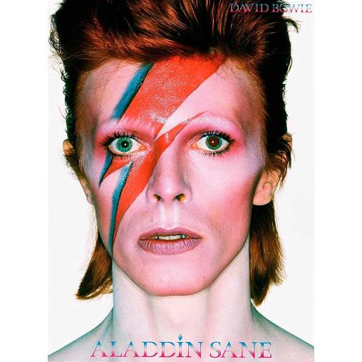 Puzzle Aquarius David Bowie Aladdin Sane de 500 Piezas