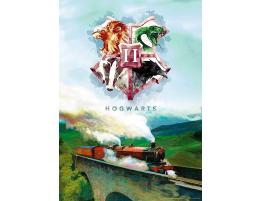 Puzzle Aquarius Harry Potter Tren a Hogwarts de 1000 Pzs