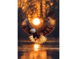 Puzzle Art Puzzle Alas del Sol de 1000 Piezas