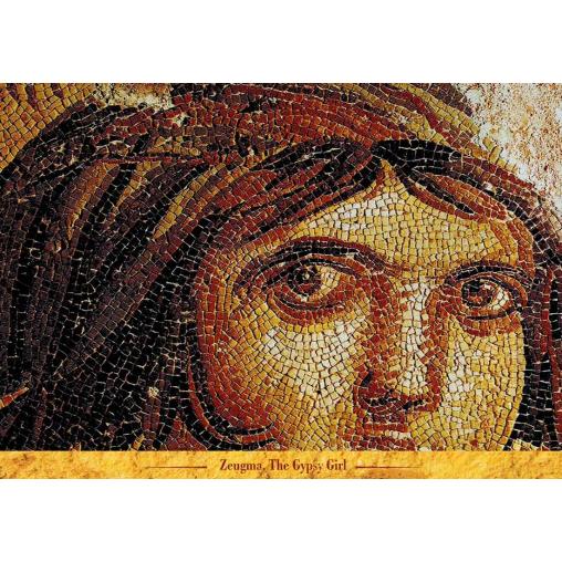 Puzzle Art Puzzle Zeugma, La Chica Gitana de 1000 Piezas