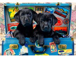 Puzzle Bluebird Cachorros Negros Viajeros de 1000 Piezas