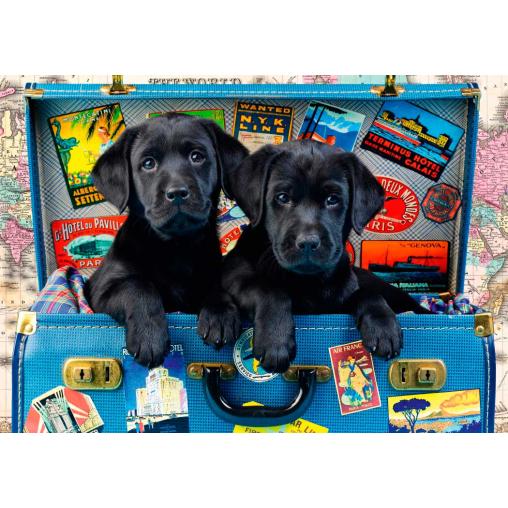 Puzzle Bluebird Cachorros Negros Viajeros de 1000 Piezas