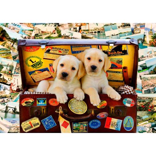 Puzzle Bluebird Cachorros Viajeros de 1000 Piezas