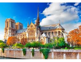 Puzzle Bluebird Catedral de Notre-Dame de Paris de 1000 Piezas