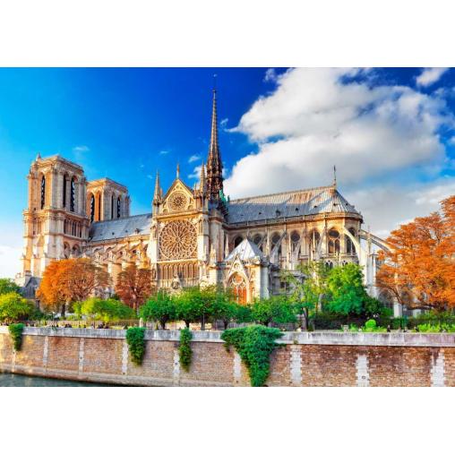 Puzzle Bluebird Catedral de Notre-Dame de Paris de 1000 Piezas