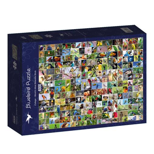 Puzzle Bluebird Collage de Aves del Mundo de 4000 Piezas