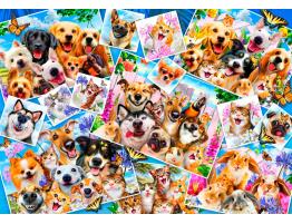 Puzzle Bluebird Collage de Selfies de Mascotas de 1000 Piezas