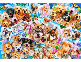 Puzzle Bluebird Collage de Selfies de Mascotas 260 Pzs