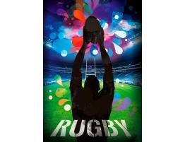 Puzzle Bluebird Estadio de Rugby de 500 Piezas