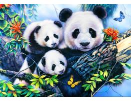 Puzzle Bluebird Familia de Pandas de 1000 Piezas