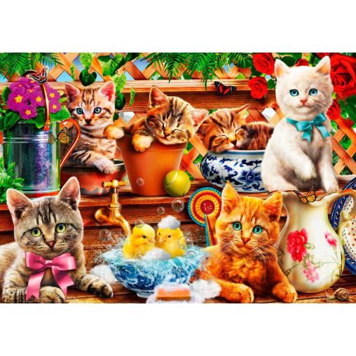 Puzzle Bluebird Gatitos en el Cobertizo de 1000 Piezas