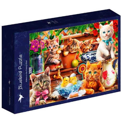 Puzzle Bluebird Gatitos en el Cobertizo de 3000 Piezas