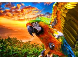 Puzzle Bluebird Guacamayo de 1000 Piezas