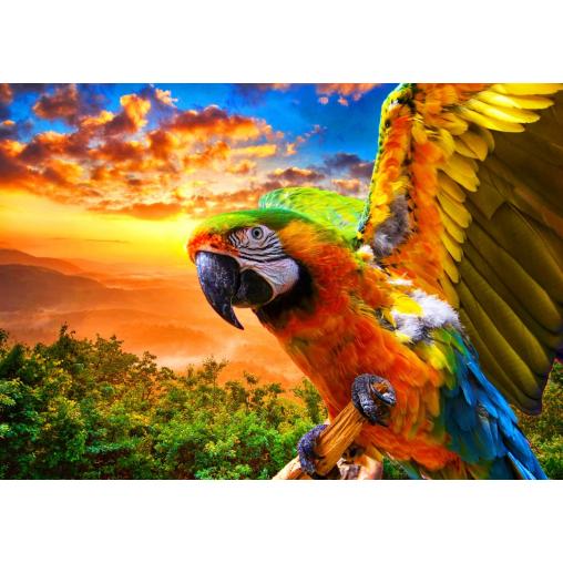 Puzzle Bluebird Guacamayo de 1000 Piezas