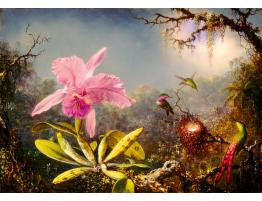 Puzzle Bluebird Orquídea Cattleya y Tres Colibríes de 1000 Piez