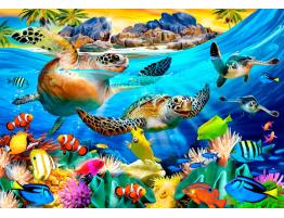 Puzzle Bluebird Playa Tortuga de 1000 Piezas