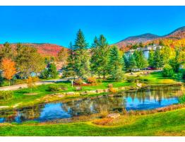 Puzzle Bluebird Stowe, Vermont, Estados Unidos de 1000 Piezas