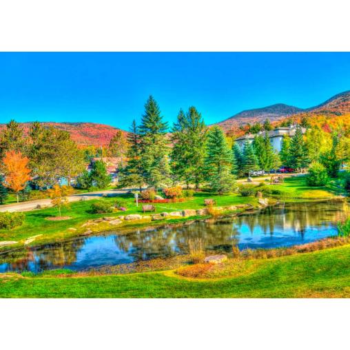 Puzzle Bluebird Stowe, Vermont, Estados Unidos de 1000 Piezas