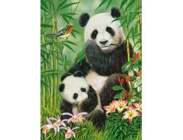 Puzzle Castorland Brunch de Pandas de 300 Piezas