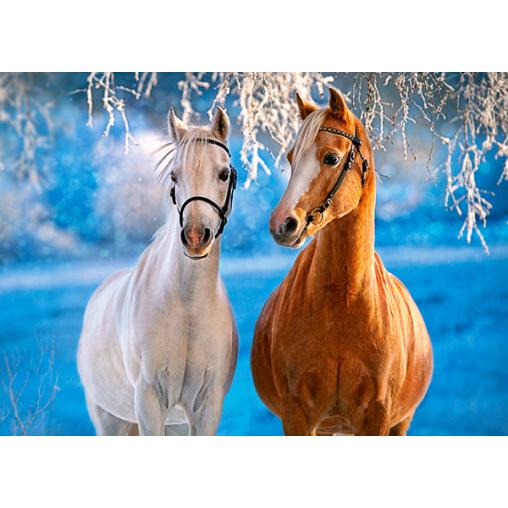 Puzzle Castorland Caballos de Invierno de 260 Piezas