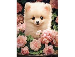 Puzzle Castorland Cachorro en Pomerania en Rosas de 300 Pzs