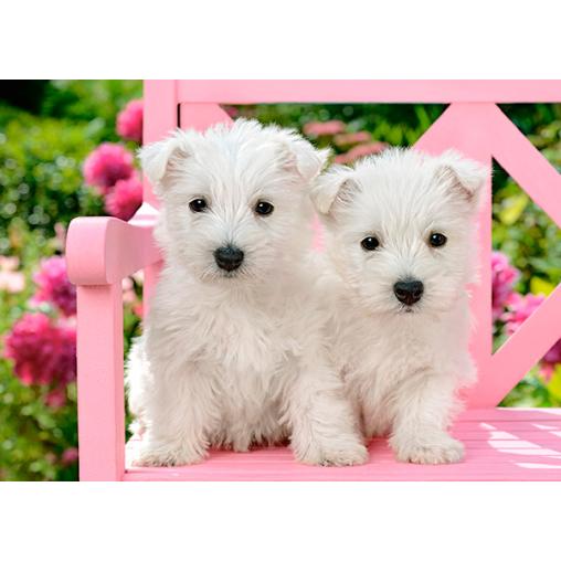 Puzzle Castorland Cachorros Blancos Terrier de 120 Piezas