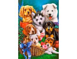 Puzzle Castorland Cachorros de 1000 Piezas