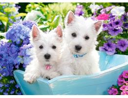 Puzzle Castorland Cachorros de Westie de 200 Piezas