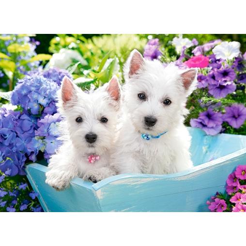 Puzzle Castorland Cachorros de Westie de 200 Piezas