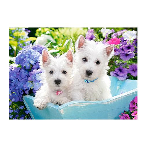 Puzzle Castorland Cachorros de Westie de 60 Piezas