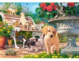 Puzzle Castorland Cachorros Jugando al Escondite de 500 Piezas