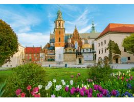 Puzzle Castorland Castillo de Wawel Cracovia, Polonia de 500 Pz