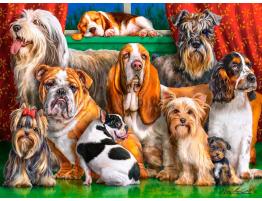 Puzzle Castorland Club de Perros de 3000 Piezas