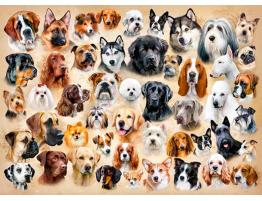 Puzzle Castorland Collage de Perros de 1500 Piezas