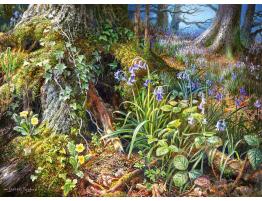 Puzzle Castorland De los Bosques Rusos de 2000 Piezas