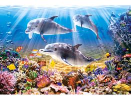 Puzzle Castorland Dauphins sous l&#39;eau 500 pièces