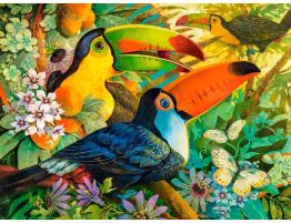 Castorland Puzzle Toucan Repos 3000 pièces