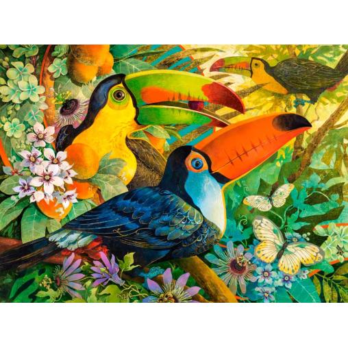 Castorland Puzzle Toucan Repos 3000 pièces