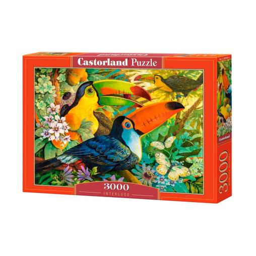 Castorland Puzzle Toucan Repos 3000 pièces