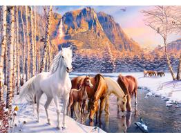 Puzzle Castorland Deshielo en Invierno de 500 Piezas