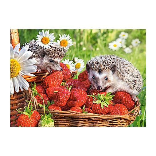 Puzzle Castorland Erizos y Fresas de 260 Piezas