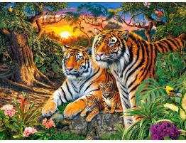 Puzzle Castorland Familia de Tigres de 2000 Piezas